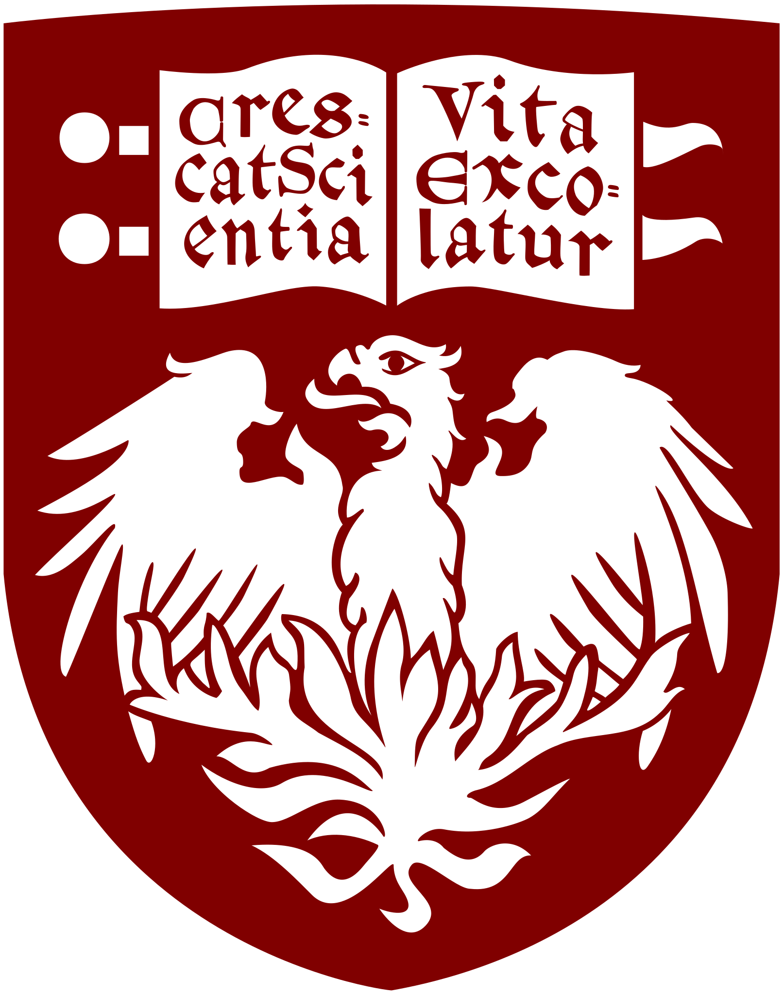UChicago UChicago