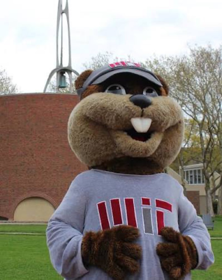 MIT mascot — Tim the Beaver