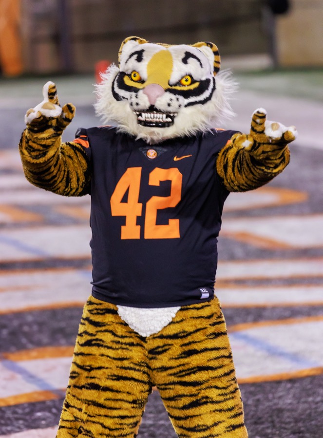 Princeton mascot — The Tiger